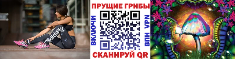 Галлюциногенные грибы ЛСД  Купить где  Поворино 